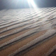 Illustration for article titled Photos of Freak Snowfall in the Sahara Look Unrealem/em